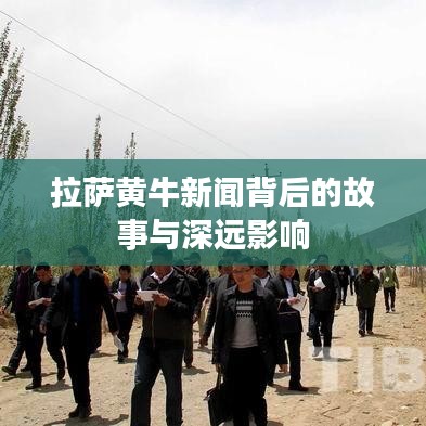 拉萨黄牛新闻背后的故事与深远影响