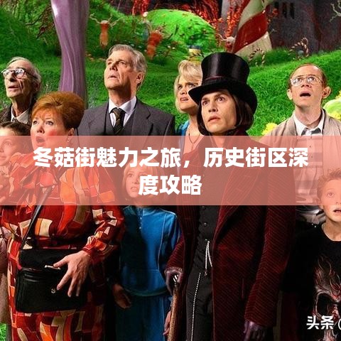 冬菇街魅力之旅，历史街区深度攻略