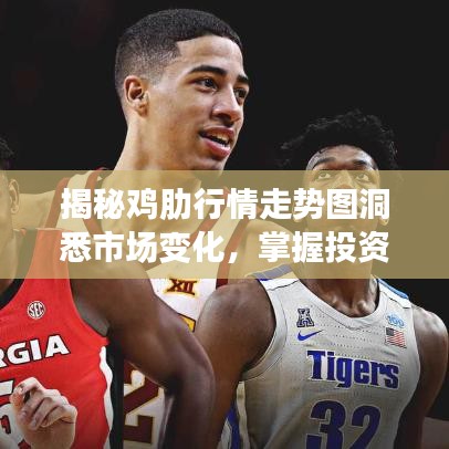 揭秘鸡肋行情走势图洞悉市场变化，掌握投资先机！