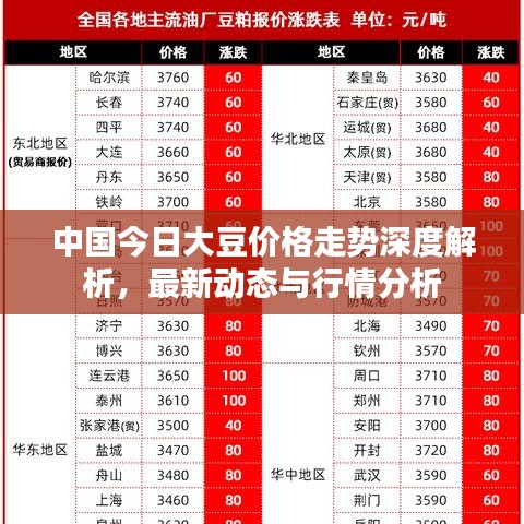 中国今日大豆价格走势深度解析，最新动态与行情分析