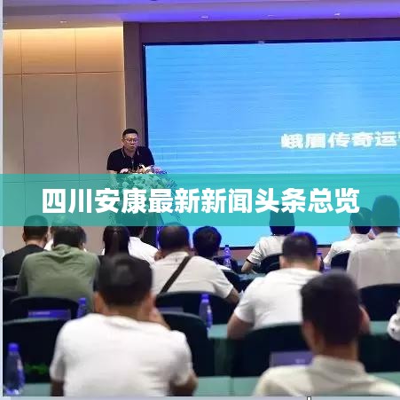 四川安康最新新闻头条总览