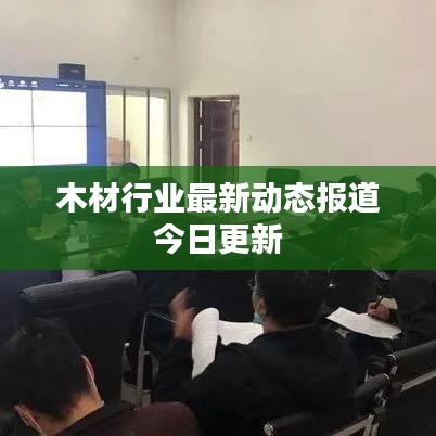 木材行业最新动态报道今日更新