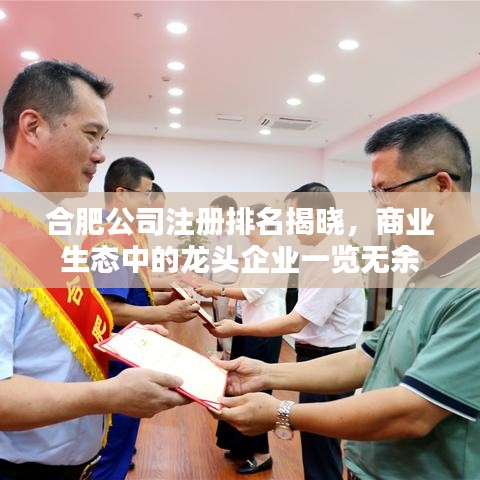 合肥公司注册排名揭晓，商业生态中的龙头企业一览无余