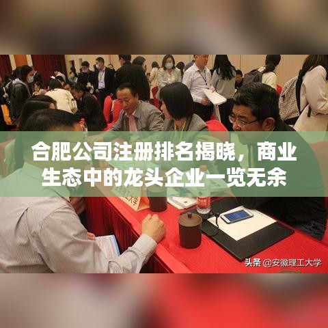合肥公司注册排名揭晓，商业生态中的龙头企业一览无余