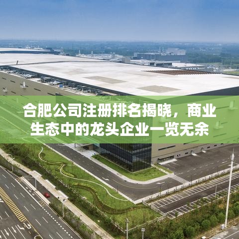 合肥公司注册排名揭晓，商业生态中的龙头企业一览无余