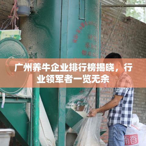广州养牛企业排行榜揭晓，行业领军者一览无余
