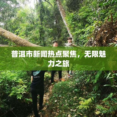 普洱市新闻热点聚焦，无限魅力之旅