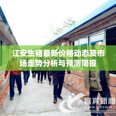 江安生猪最新价格动态及市场走势分析与预测简报