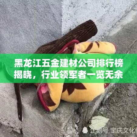 黑龙江五金建材公司排行榜揭晓，行业领军者一览无余