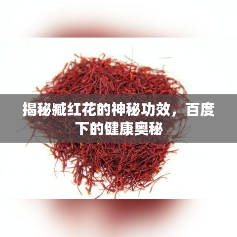 揭秘臧红花的神秘功效，百度下的健康奥秘