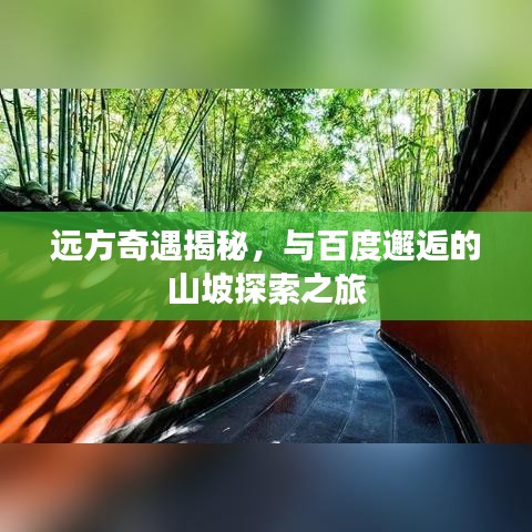 远方奇遇揭秘，与百度邂逅的山坡探索之旅