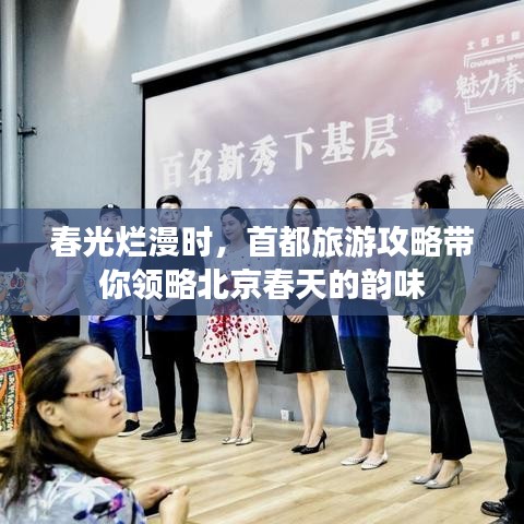 春光烂漫时，首都旅游攻略带你领略北京春天的韵味