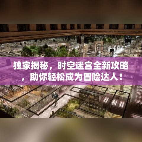 独家揭秘，时空迷宫全新攻略，助你轻松成为冒险达人！