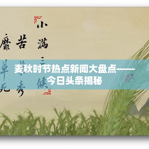 麦秋时节热点新闻大盘点——今日头条揭秘