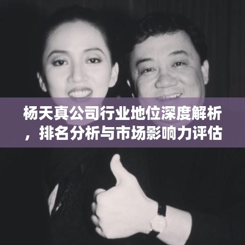 杨天真公司行业地位深度解析，排名分析与市场影响力评估