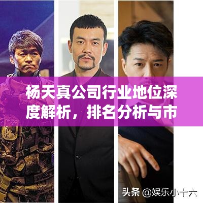 杨天真公司行业地位深度解析,排名分析与市场影响力评估