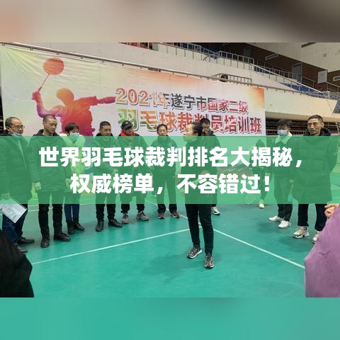 世界羽毛球裁判排名大揭秘，权威榜单，不容错过！