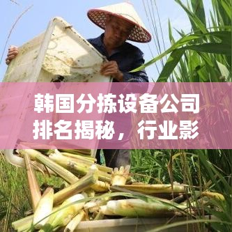 韩国分拣设备公司排名揭秘,行业影响力不容小觑