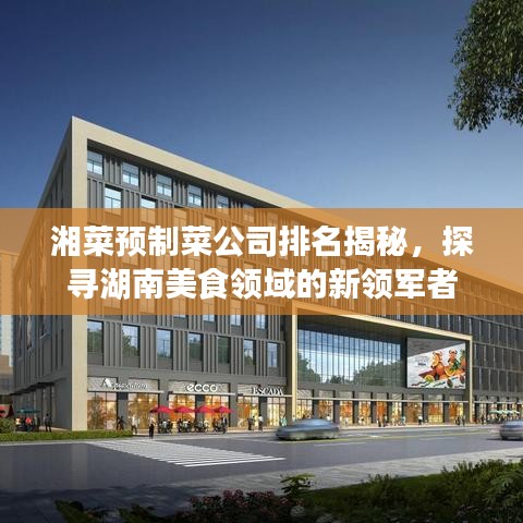 湘菜预制菜公司排名揭秘，探寻湖南美食领域的新领军者