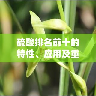 硫酸排名前十的特性、应用及重要性解析