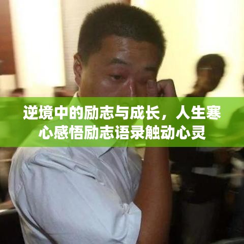 逆境中的励志与成长，人生寒心感悟励志语录触动心灵