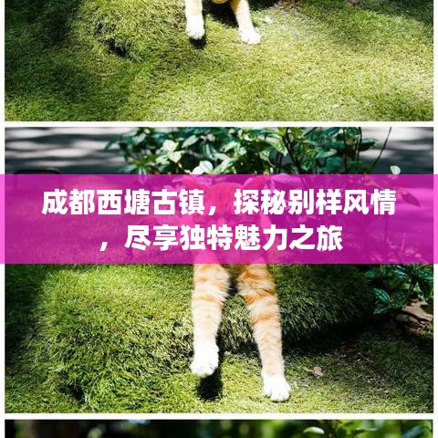 成都西塘古镇，探秘别样风情，尽享独特魅力之旅
