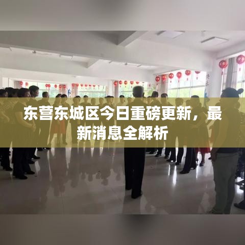 东营东城区今日重磅更新，最新消息全解析