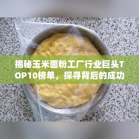 揭秘玉米面粉工厂行业巨头TOP10榜单，探寻背后的成功秘密！