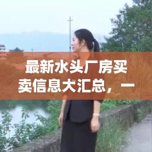 最新水头厂房买卖信息大汇总，一站式浏览，不容错过！