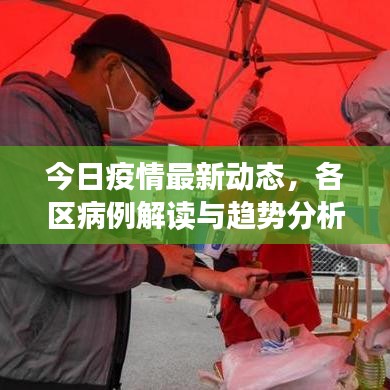 今日疫情最新动态,各区病例解读与趋势分析