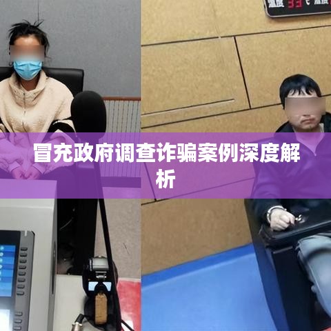 冒充政府调查诈骗案例深度解析