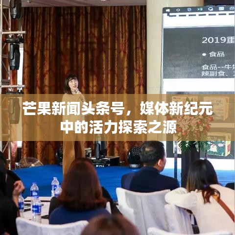 芒果新闻头条号，媒体新纪元中的活力探索之源