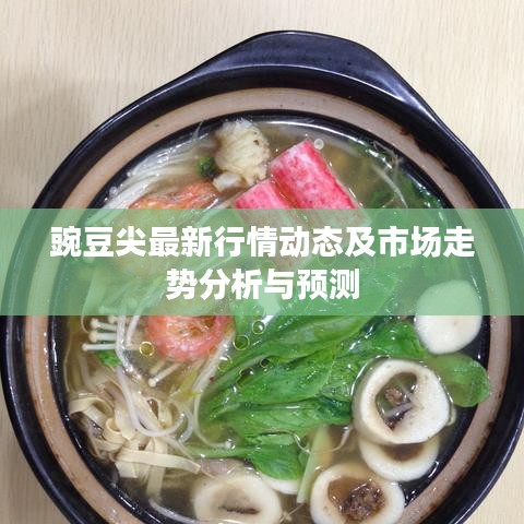 豌豆尖最新行情动态及市场走势分析与预测