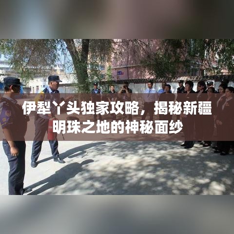 伊犁丫头独家攻略，揭秘新疆明珠之地的神秘面纱