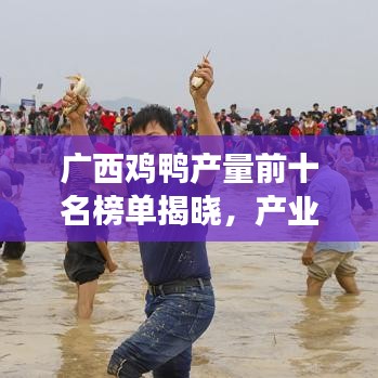 广西鸡鸭产量前十名榜单揭晓，产业繁荣背后的故事探究