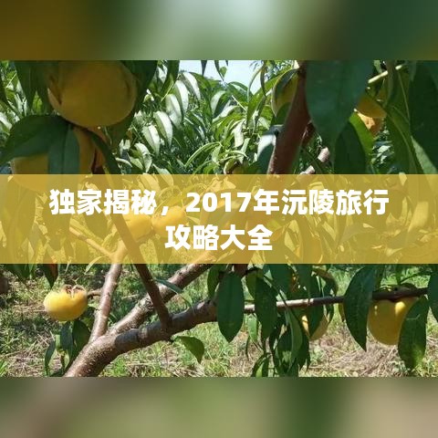 独家揭秘，2017年沅陵旅行攻略大全