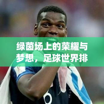 绿茵场上的荣耀与梦想，足球世界排名大揭秘！