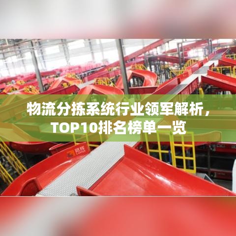 物流分拣系统行业领军解析，TOP10排名榜单一览