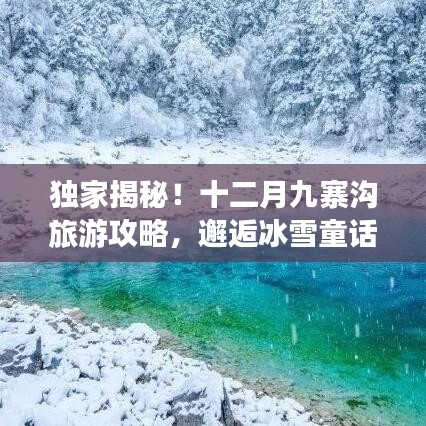 独家揭秘！十二月九寨沟旅游攻略，邂逅冰雪童话世界！