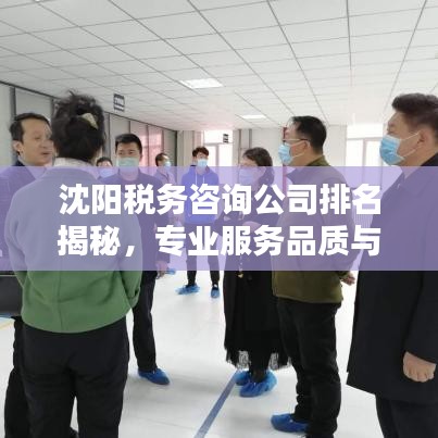 沈阳税务咨询公司排名揭秘,专业服务品质与信誉之战