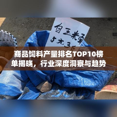 商品饲料产量排名TOP10榜单揭晓，行业深度洞察与趋势分析