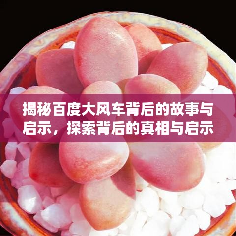 揭秘百度大风车背后的故事与启示,探索背后的真相与启示