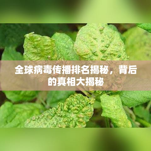 草长莺飞 第5页