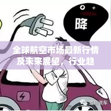 纲挈目张 第6页