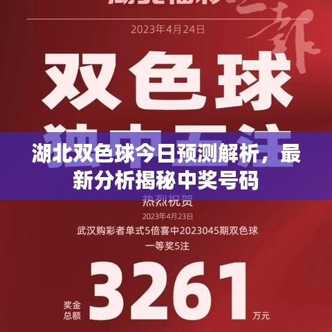 湖北双色球今日预测解析，最新分析揭秘中奖号码