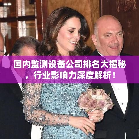 国内监测设备公司排名大揭秘,行业影响力深度解析!