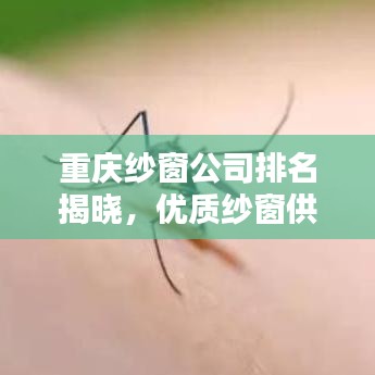 重庆纱窗公司排名揭晓，优质纱窗供应商全攻略