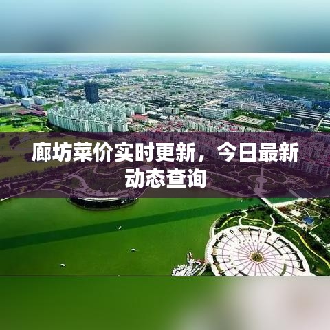 廊坊菜价实时更新,今日最新动态查询