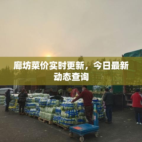 廊坊菜价实时更新,今日最新动态查询
