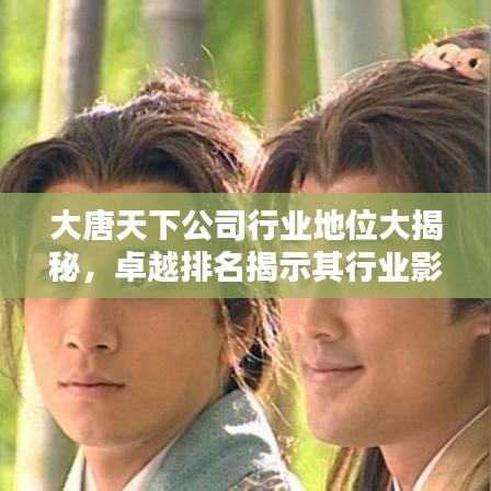 大唐天下公司行业地位大揭秘，卓越排名揭示其行业影响力